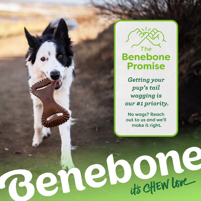 Benebone Dental Chew Durable Dog Chew Toy Bacon SM