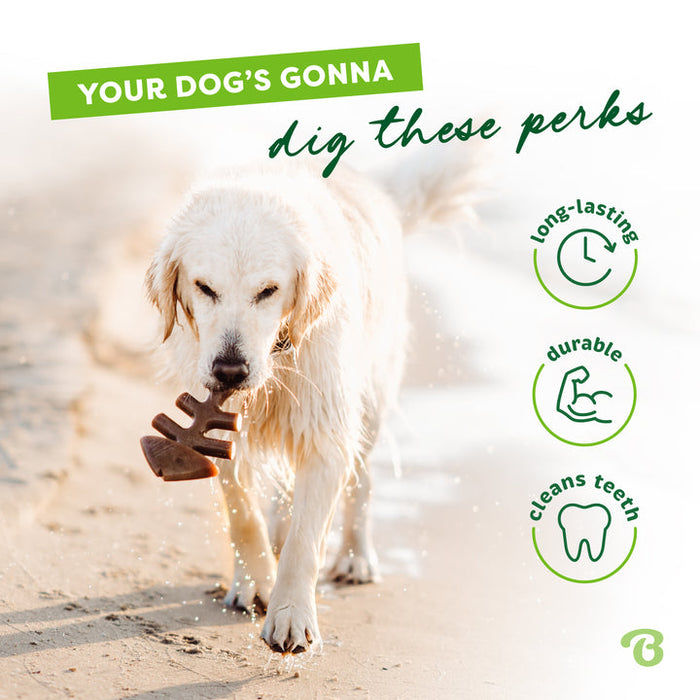 Benebone Fishbone Dog Chew Toy Salmon XL|25PK