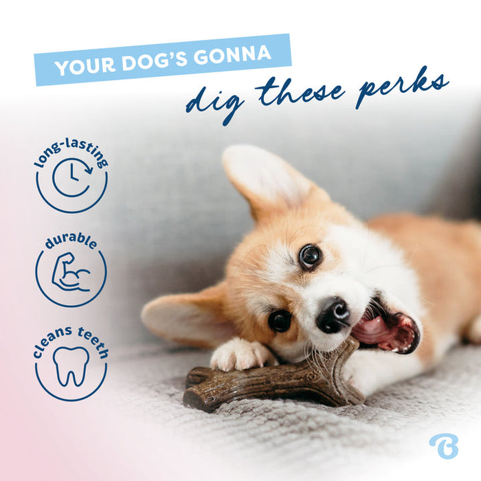 Benebone Puppy Stick Dog Chew Toy Maplewood SM