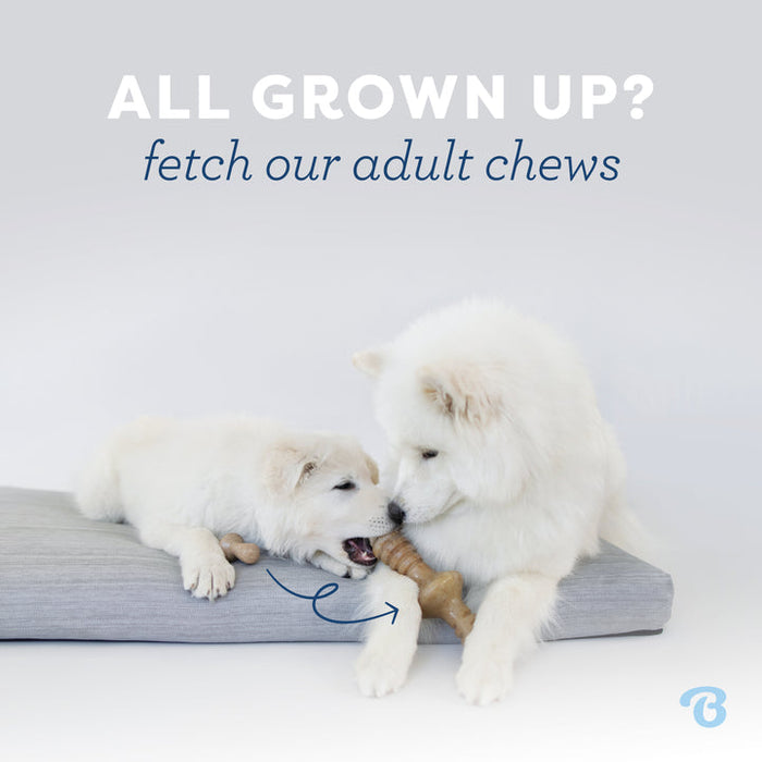 Benebone Puppy Stick Dog Chew Toy Maplewood SM