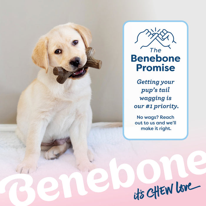 Benebone Puppy Stick Dog Chew Toy Maplewood SM