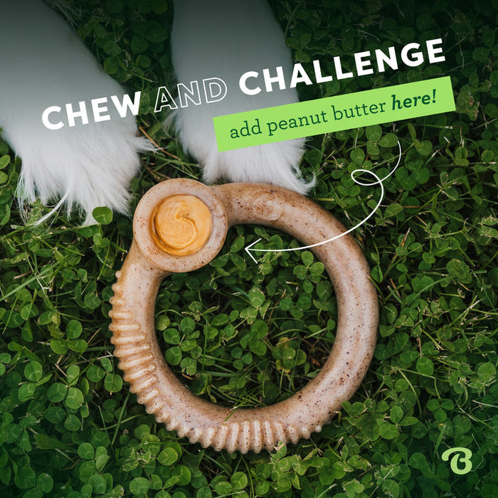 Benebone Ring Durable Dog Chew Toy Bacon LG| 20 PK
