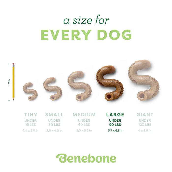 Benebone Tripe Bone Durable Dog Chew Toy Beef Tripe LG| 30 PK