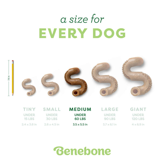 Benebone Tripe Bone Durable Dog Chew Toy Beef Tripe MD| 35 PK