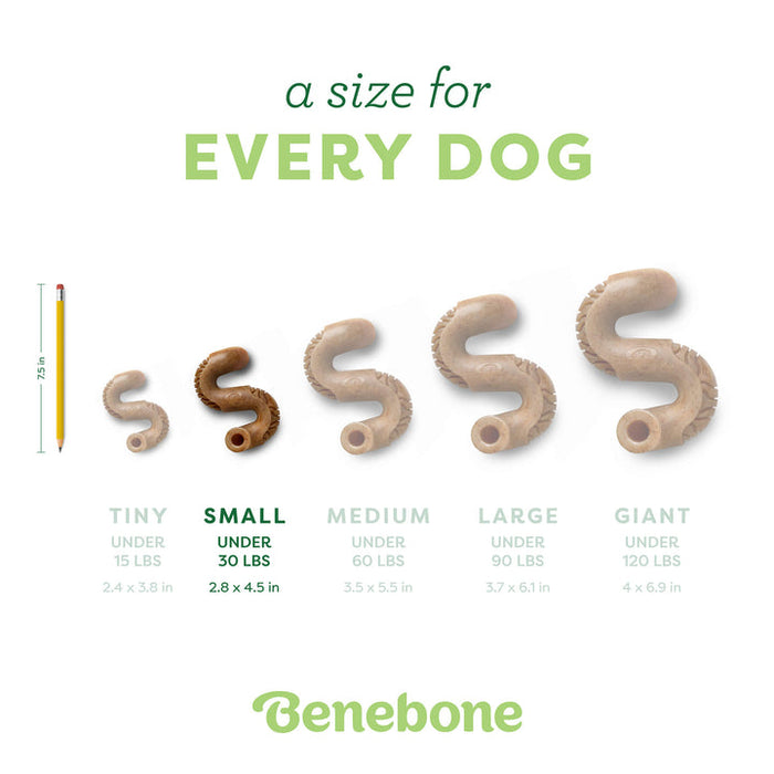 Benebone Tripe Bone Durable Dog Chew Toy Beef Tripe SM|20 PK