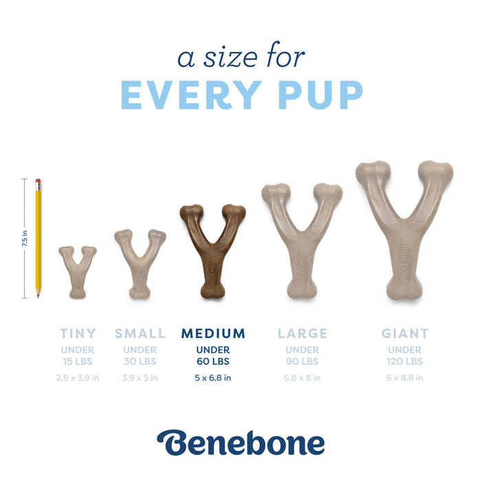 Benebone Puppy Wishbone Dog Chew Toy Bacon MD