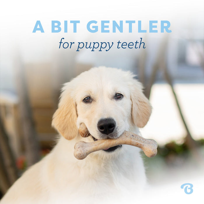 Benebone Puppy Wishbone Dog Chew Toy Bacon MD