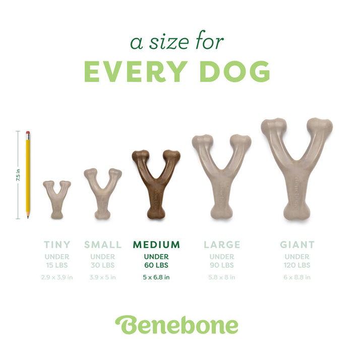 Benebone Wishbone Durable Dog Chew Toy Chicken MD