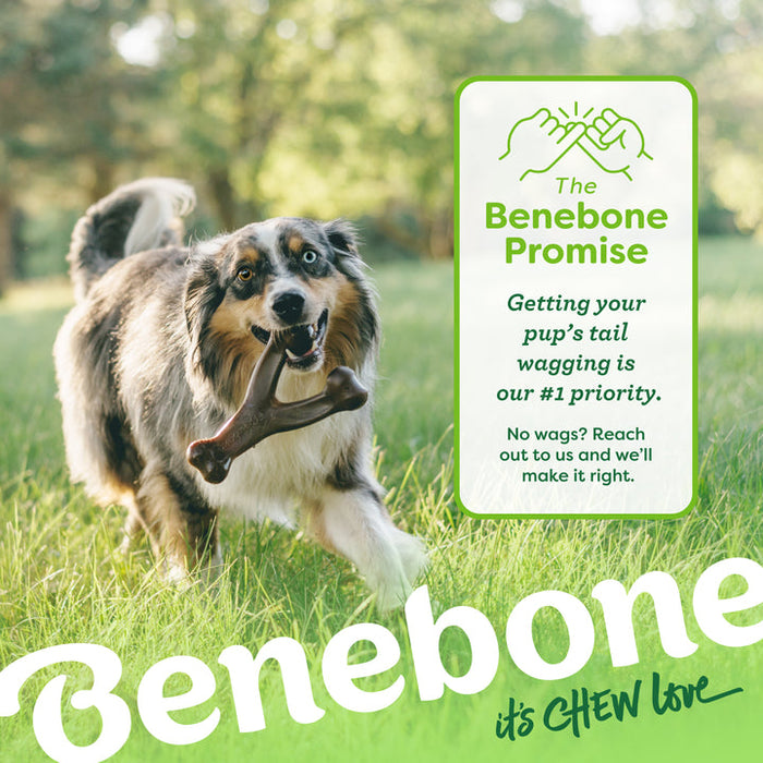 Benebone Wishbone Durable Dog Chew Toy Chicken MD