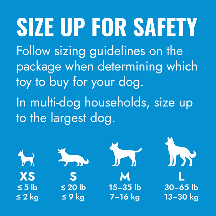 KONG Puppy Toy Assorted SM - 15 - Image 18