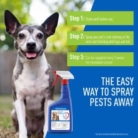 Adams Plus Flea & Tick Spray 32 fluid ounces