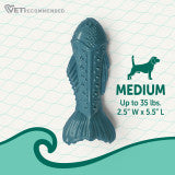 Nylabone Power Chew Love Our Oceans Textured Fish Dog Chew Toy Salmon Medium (1 Count)
