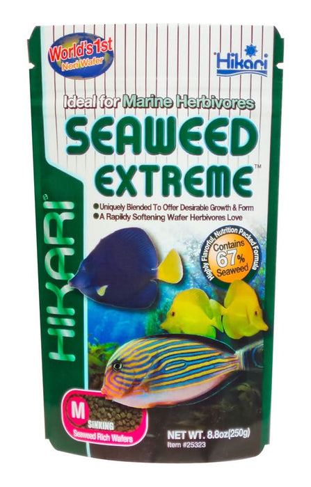 Hikari USA Seaweed Extreme Wafer Fish Food 8.8oz MD - Image 2