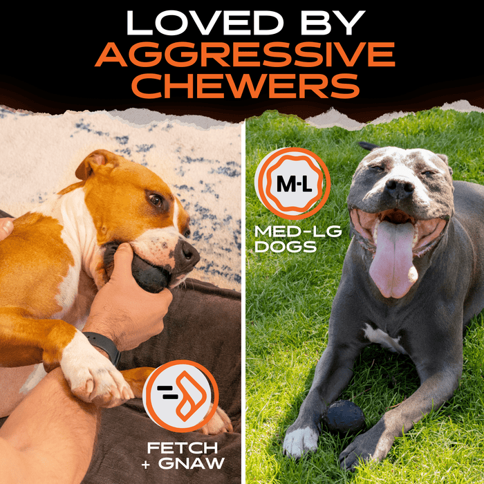 Monster K9 Dog Toys Beast Ball - 4 - Image 8