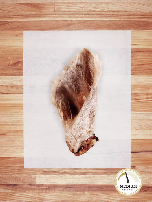 Farm Hounds Beef Ear (Hairy) Dog Treats