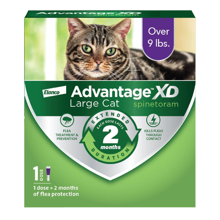 Elanco Advantage XD Topical Flea Protection for Cats 1 dose (2 months of protection) LG Cats (Over 9lbs) - Image 2