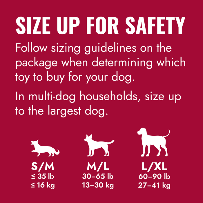 KONG Donut Dog Toy SM/MD - 7 - Image 12