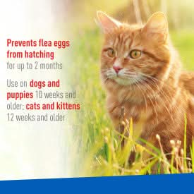 Adams Flea & Tick Spray 16 ounces