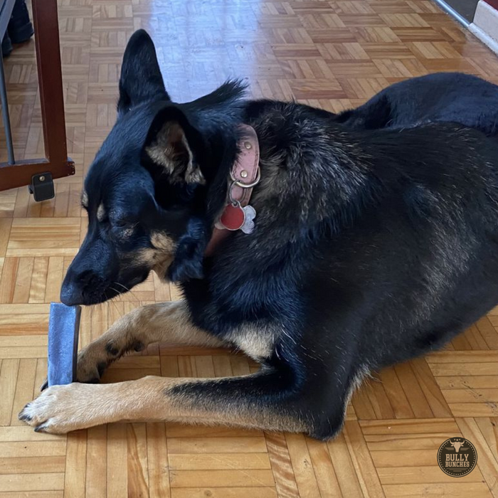 Bully Bunches Blueberry Himalayan Yak Chew (MEDIUM)