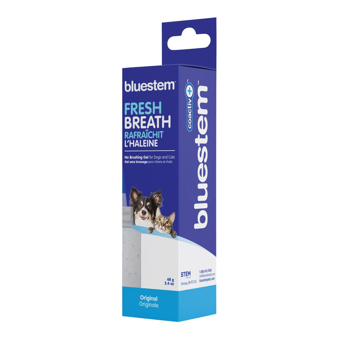 Jeffers bluestem Coactiv+ No Brushing Dental Gel for Dogs & Cats