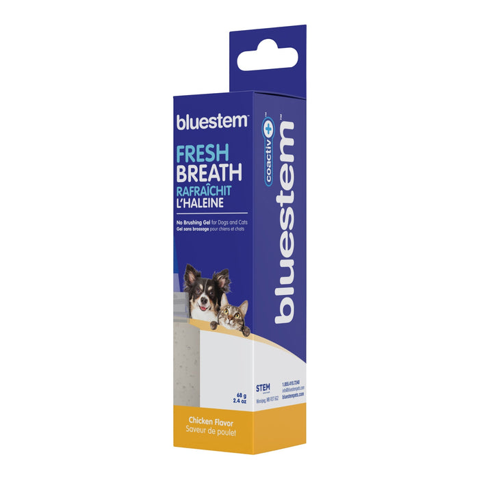 Jeffers bluestem Coactiv+ No Brushing Dental Gel for Dogs & Cats