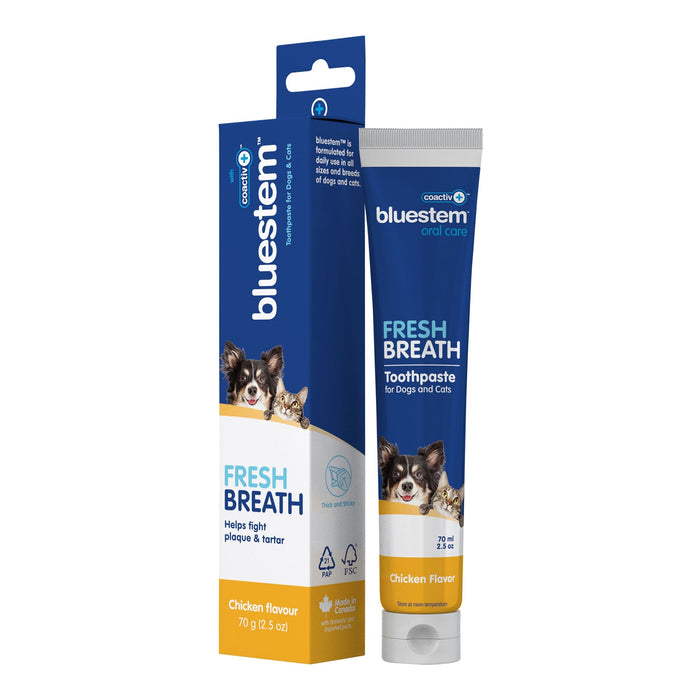 Jeffers Bluestem Coactiv+ Pet Toothpaste for Dogs and Cats, Chicken Flavor, 2.5 oz