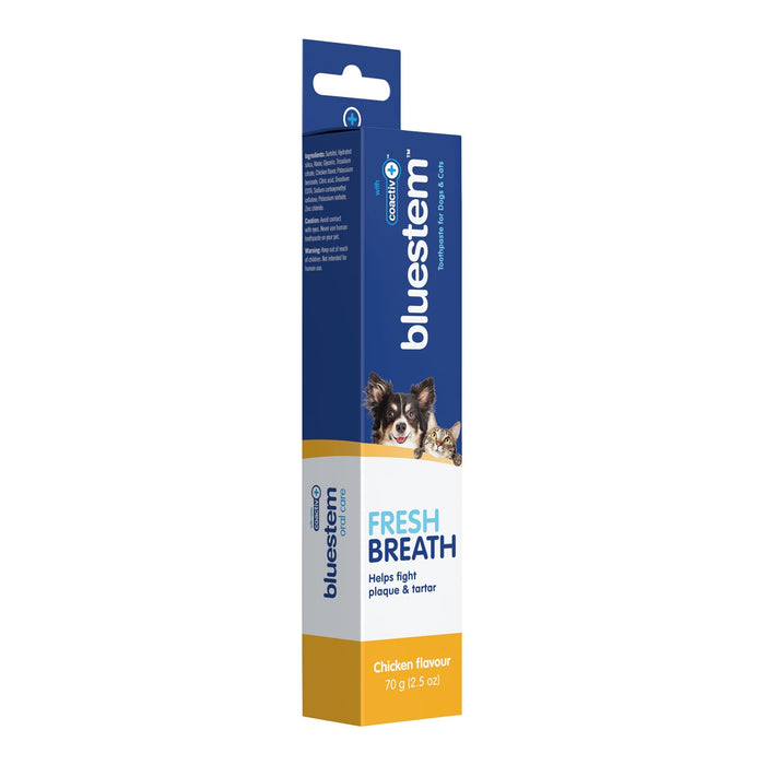 Jeffers Bluestem Coactiv+ Pet Toothpaste for Dogs and Cats, Chicken Flavor, 2.5 oz