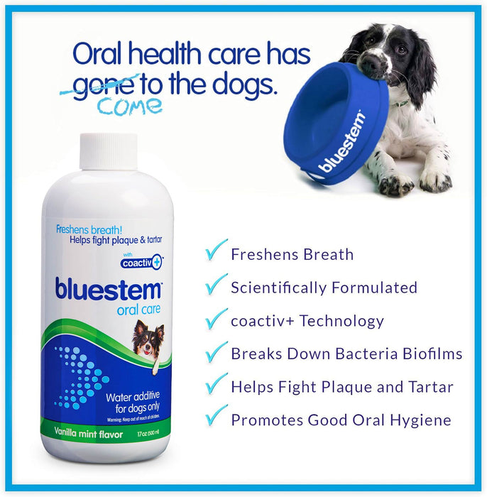 Jeffers bluestem Water Additive for Dogs Only, Vanilla-Mint, 17 fl oz