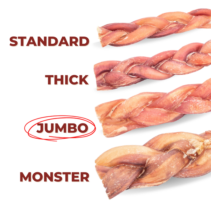 Bully Bunches 12 Inch Jumbo Braided Bully Stick