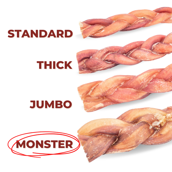 Bully Bunches 6 Inch Monster Braided Bully Stick