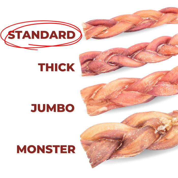 Bully Bunches 6 Inch Standard Braided Bully Stick