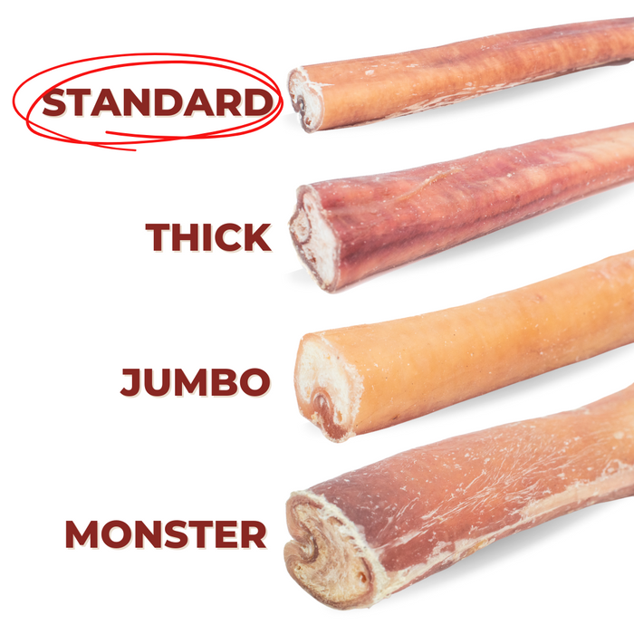 Bully Bunches 6 Inch Standard Bully Stick