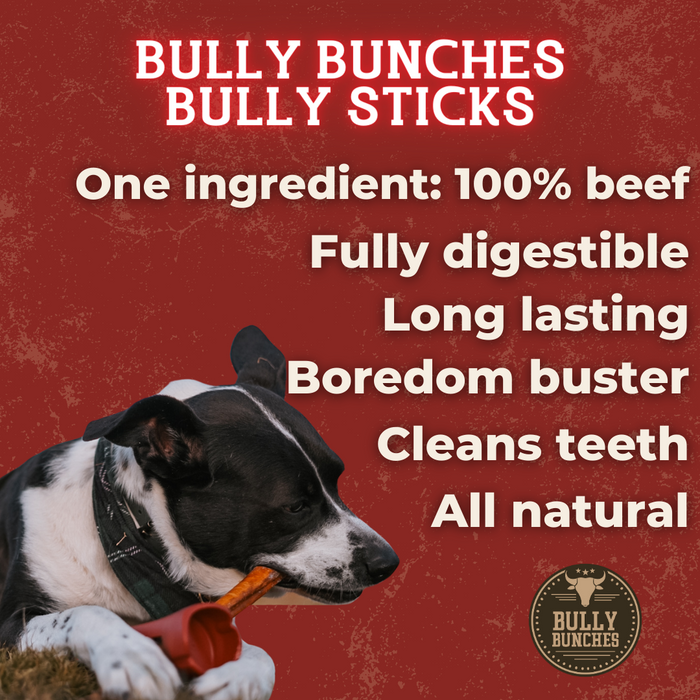 Bully Bunches 6 Inch Standard Bully Stick