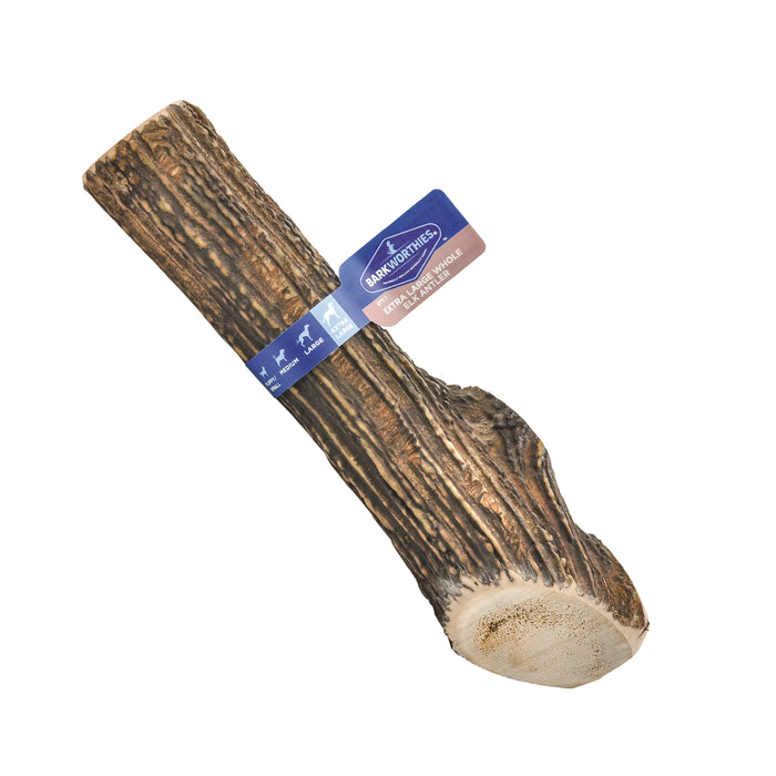 Barkworthies Whole Elk Antler Dog Treat XL - Image 2