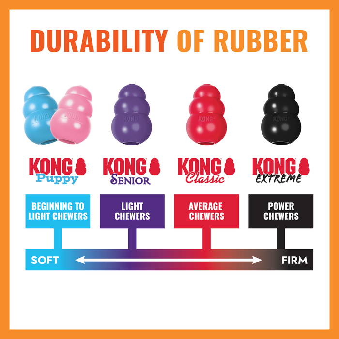KONG Aqua Dog Toy LG - 5 - Image 10