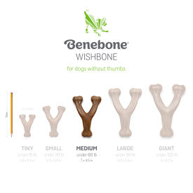 Benebone 2-Pack Dental Chew & Wishbone Dog Chew Toy Bacon MD|20 PK