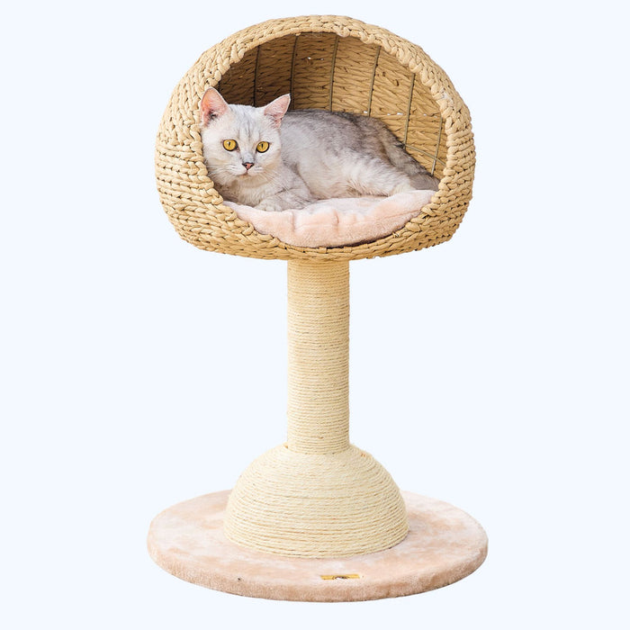 PetPals Lookout Cat Perch Beige & Cream 29in