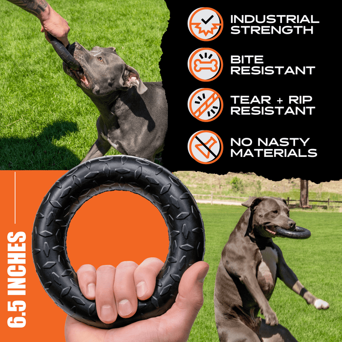 Monster K9 Dog Toys Chew Ring - 2 - Image 8