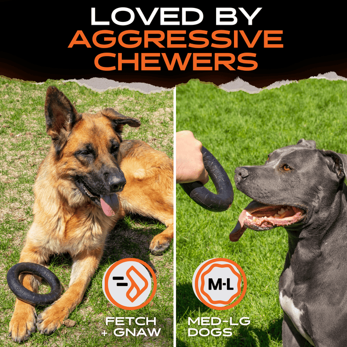 Monster K9 Dog Toys Chew Ring - 4 - Image 8