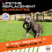 Monster K9 Dog Toys Chew Ring - 3 - Image 8