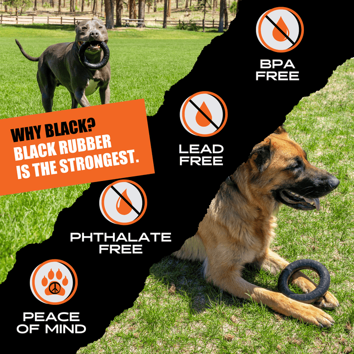 Monster K9 Dog Toys Chew Ring - 6 - Image 8
