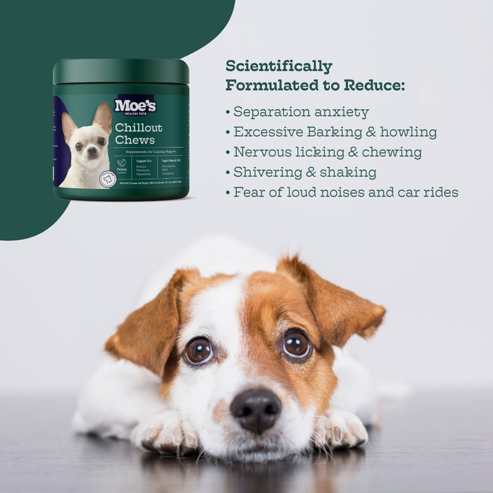 Moe's Healthy Pets Chillout Chews - 1 - Image 18
