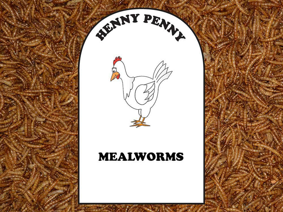 Volkman Seed Company Mealworms Chicken Food 1.25 lb