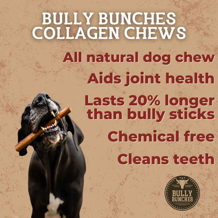 Bully Bunches 5-6 Inch Champion Chew