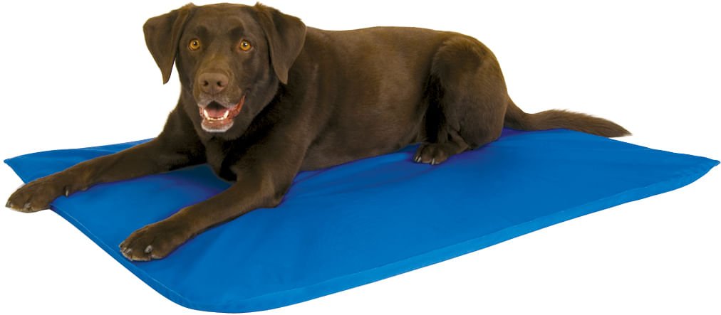 Jeffers K&H Cool Bed III for Dogs