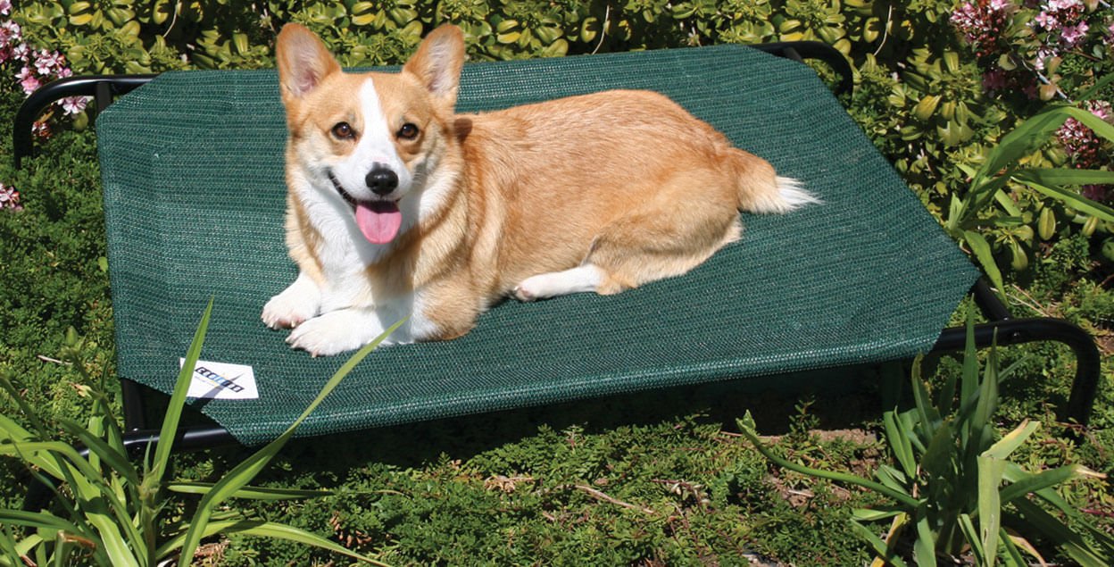 Jeffers Coolaroo Pet Bed