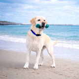 Nylabone Power Chew Love Our Oceans Frenzy Bone Dog Chew Toy Bacon & Cheese X-Large (1 Count)