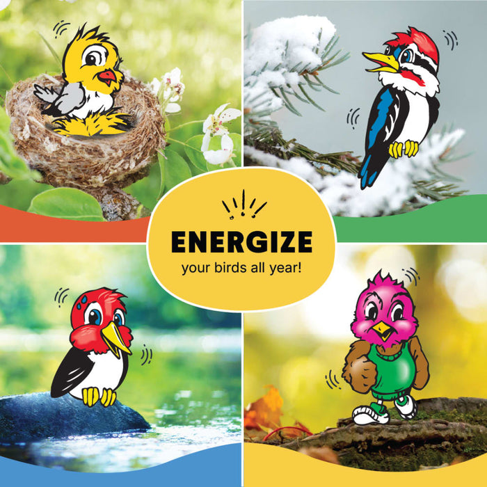 C&S High Energy Delight 11 oz, wild bird feeding (Pack of 12)