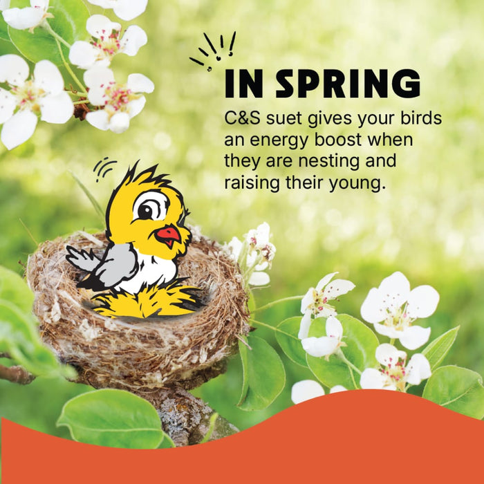 C&S High Energy Delight 11 oz, wild bird feeding (Pack of 12)