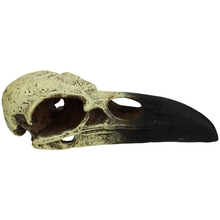 Komodo Raven Skull Hideout LG 18in